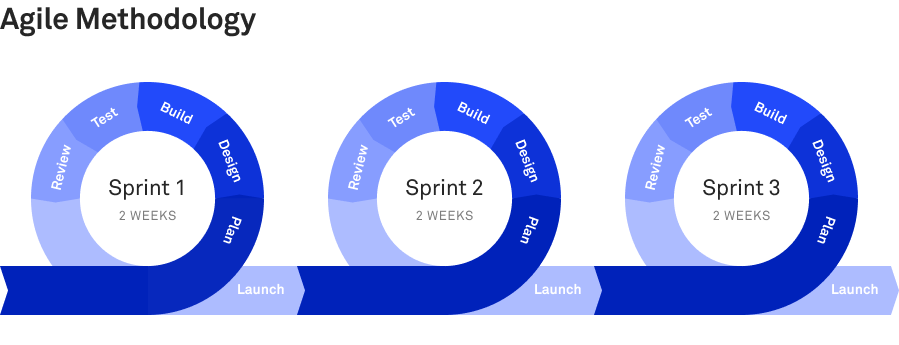 software development process