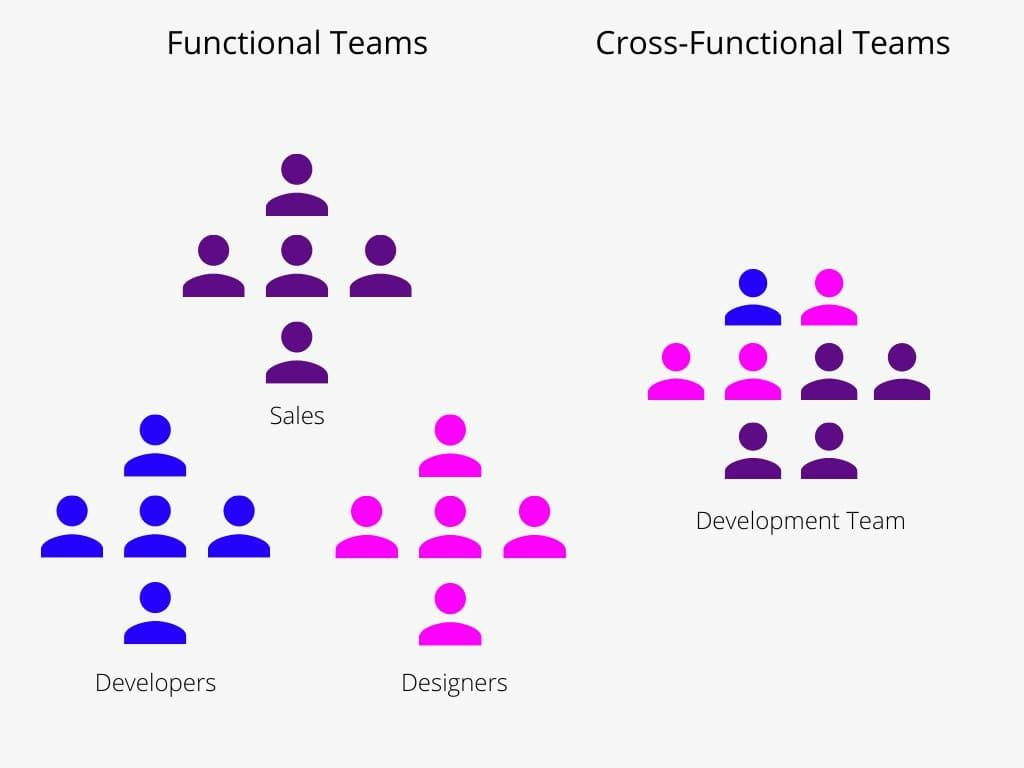 Cross Functional Teams