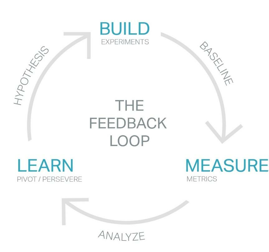 the feedback loop