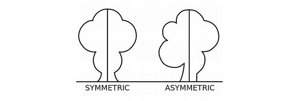 symmetric vs asymmetric