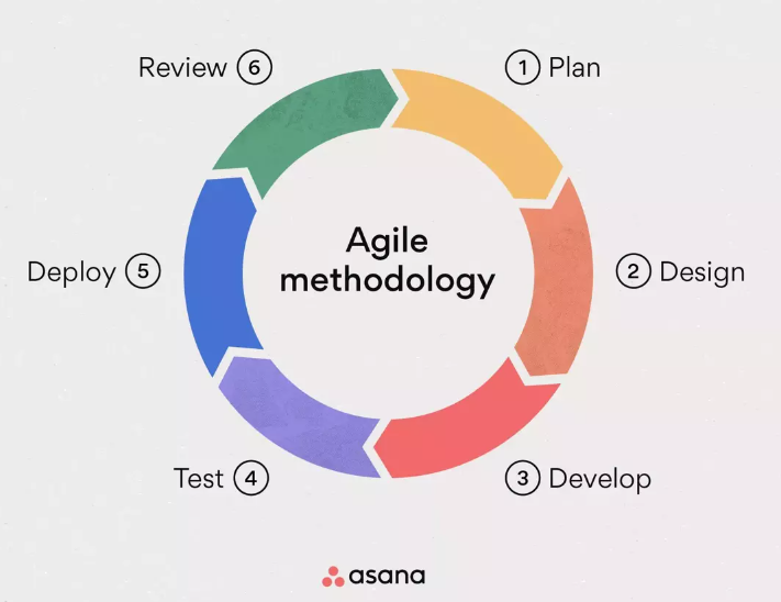 agile methodology steps